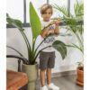 Conjunto Niño Urban Skate Board