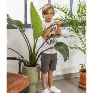 Conjunto Niño Urban Skate Board
