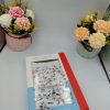 Braguitas para niña con flores de Don Algodón | Mañacos