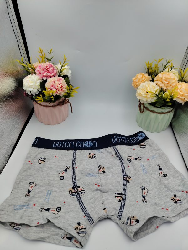 Calzoncillos niño Waterlemon slip y bóxer | Comodidad diaria
