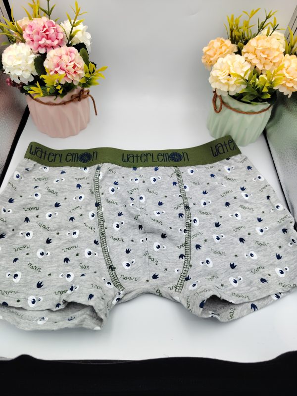 Calzoncillos niño Waterlemon slip y bóxer | Comodidad diaria