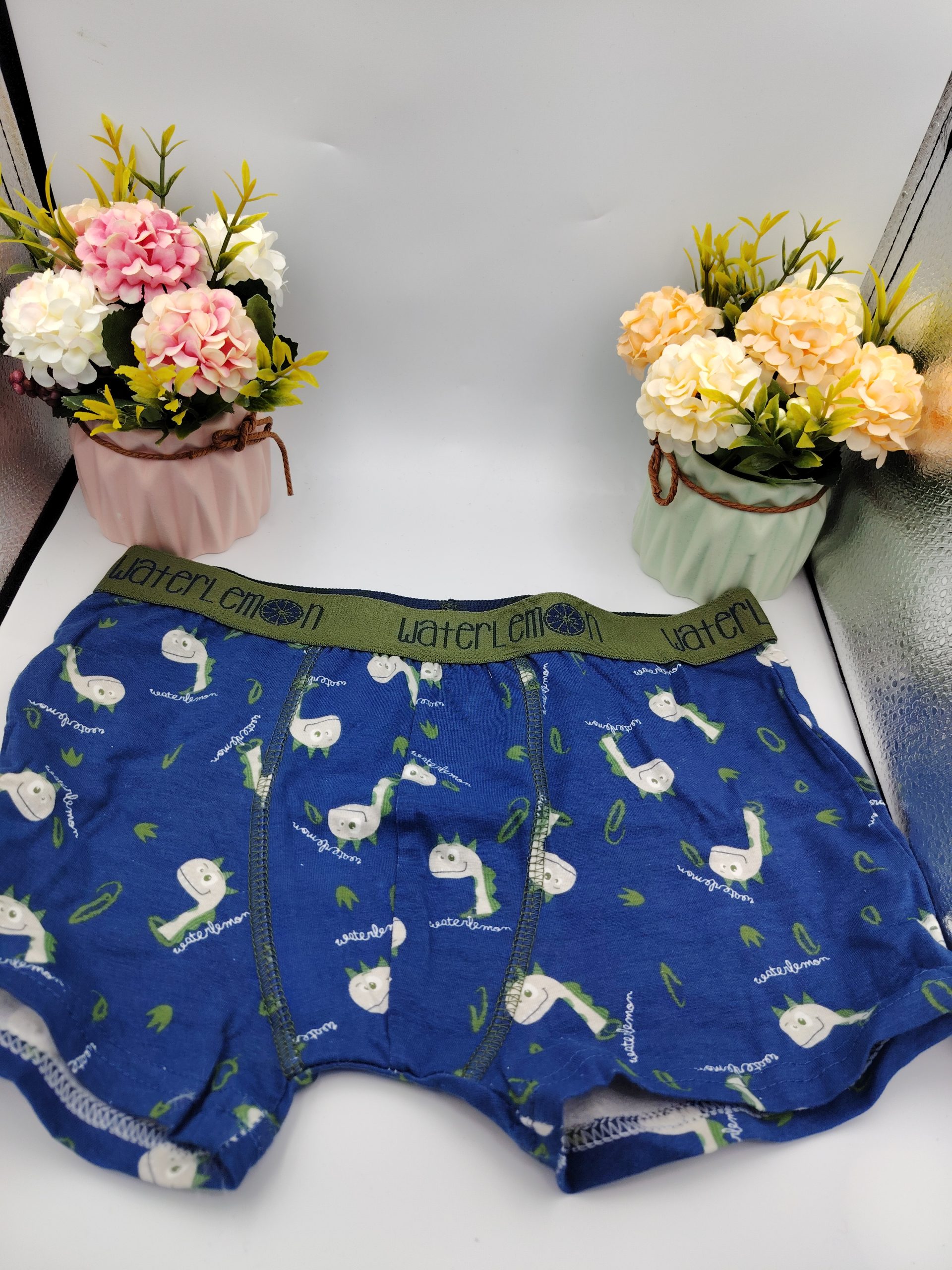 Calzoncillos niño Waterlemon slip y bóxer | Comodidad diaria 4 Calzoncillos niño Waterlemon slip y bóxer | Comodidad diaria
