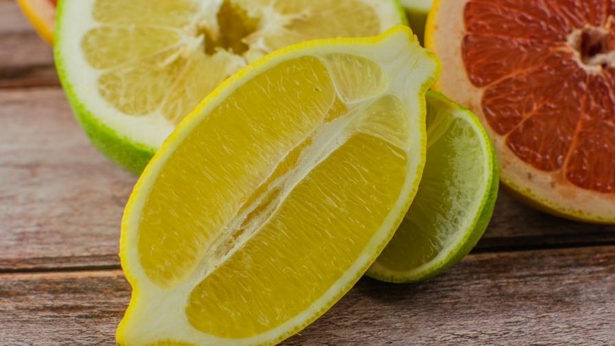 Qué son las notas olfativas y cómo reconocerlas en un perfume 4 notas aromaticas citricas Qué son las notas olfativas y cómo reconocerlas en un perfume