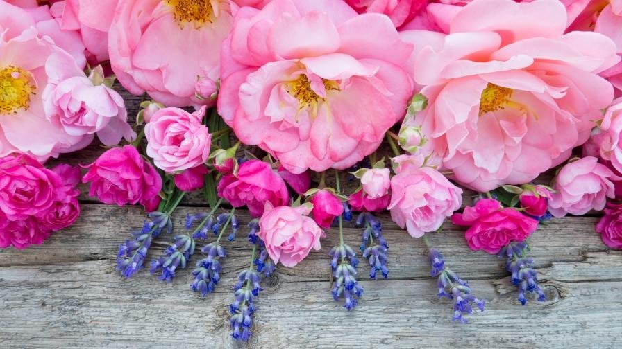 Qué son las notas olfativas y cómo reconocerlas en un perfume 5 notas florales